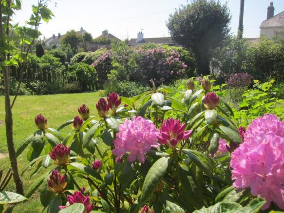 Spring garden