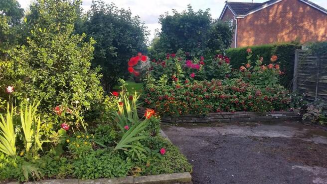 Photo 28