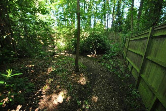 Wooded Area