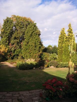 garden