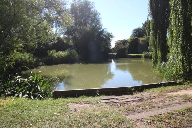 Pond
