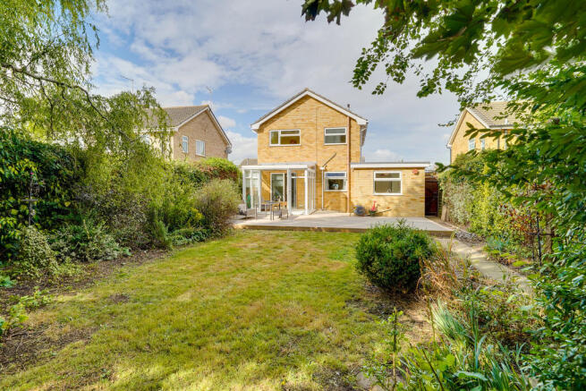 Back Garden