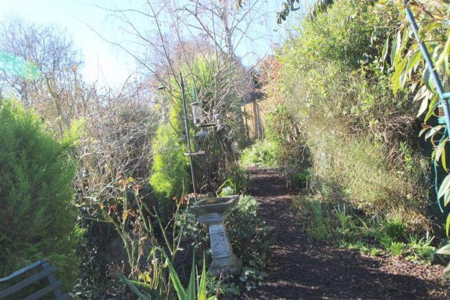 Garden 2
