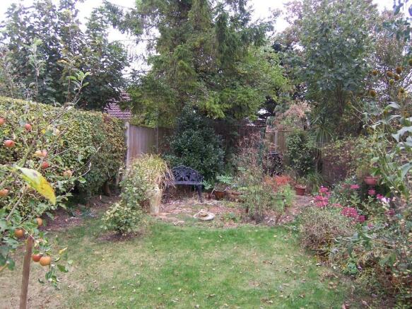 Photo 18