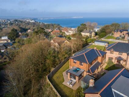 Woodlands, Luccombe