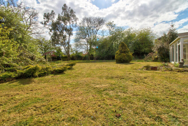 Garden 2