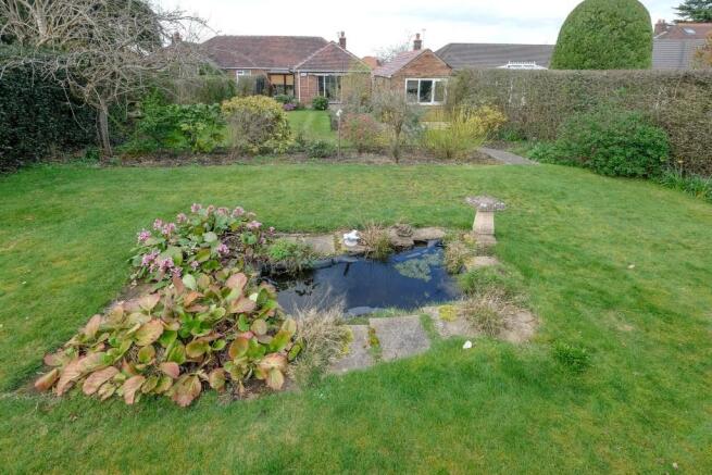 Pond