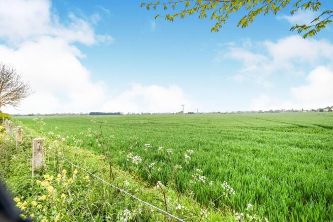 Surrounding Fields