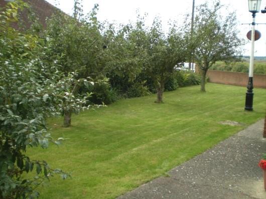 Side Garden