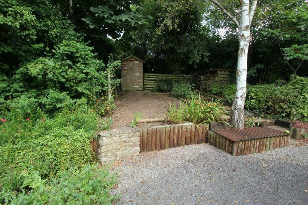 Shaded Garden