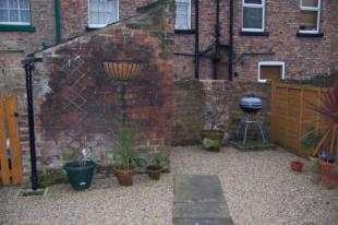Rear Yard