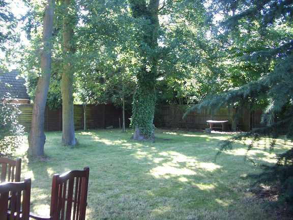 Garden 02