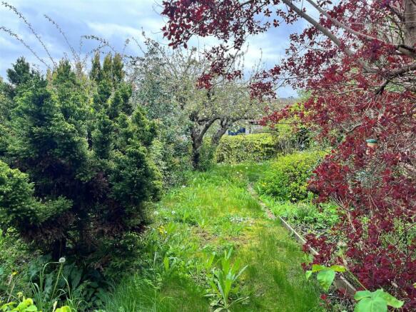 Garden 2.jpg