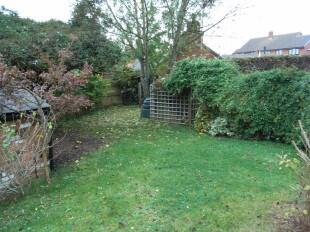 Side Garden
