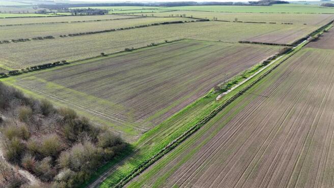 DJI_20260217101517_0034_D.JPG