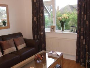 Family Room/Bedroom
