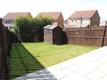 Photo 29