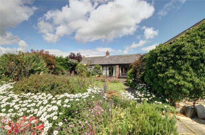 Front and Garden