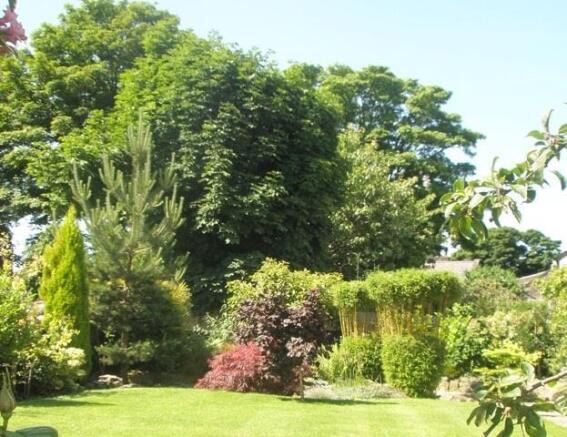FRONT GARDEN
