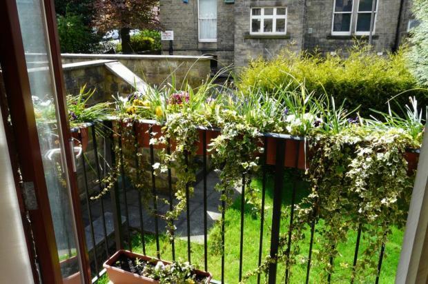 Communal Gardens
