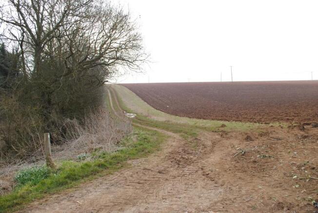 View from rear of property