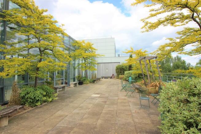 Roof Top Garden