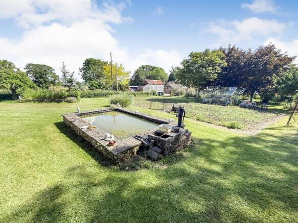 Raised Pond