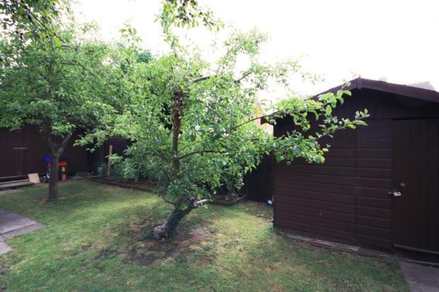 Garden Image 3