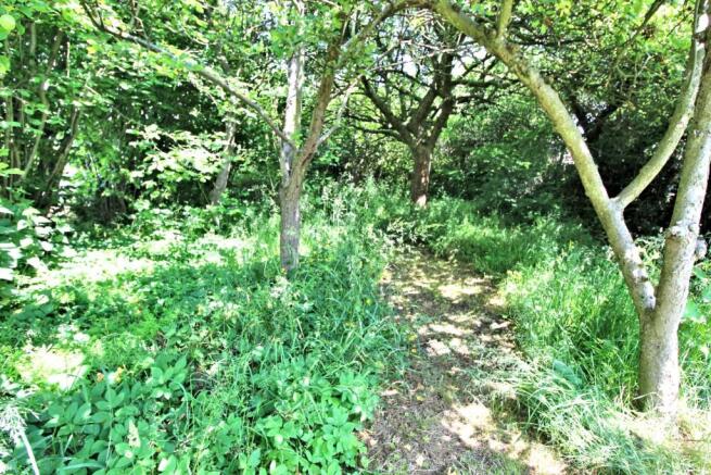 ORCHARD VIEW 