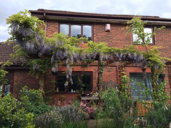 Rear garden Looking towards House