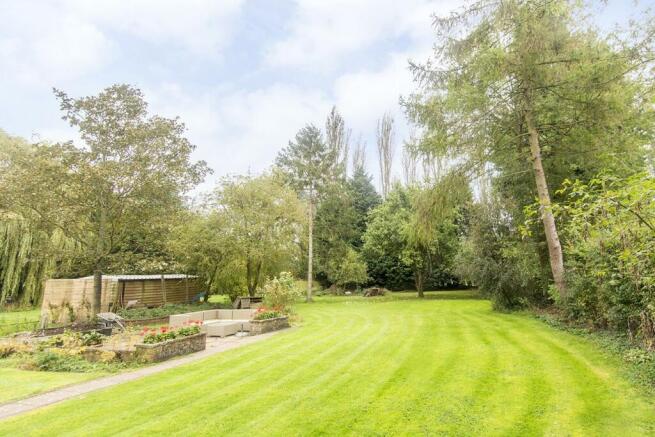Garden Photo Two