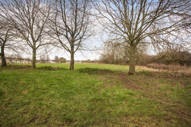 Field View