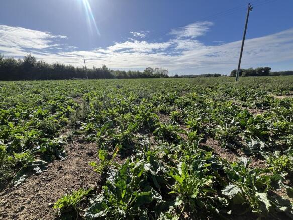 Land Off Winch Road, Gayton Road, East Winch, King's Lynn, Norfolk, PE32 1LH photo 2