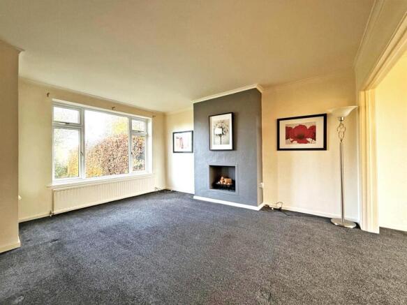 thumbnail_image0 (1).jpg