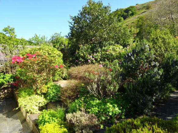 Photo 8