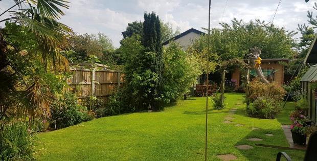 Photo 16