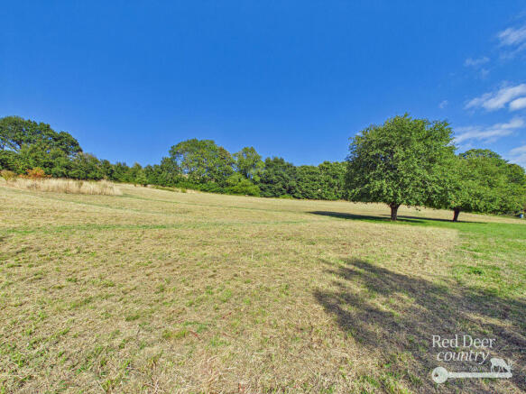 Field