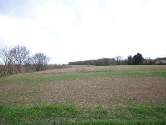 Image 11