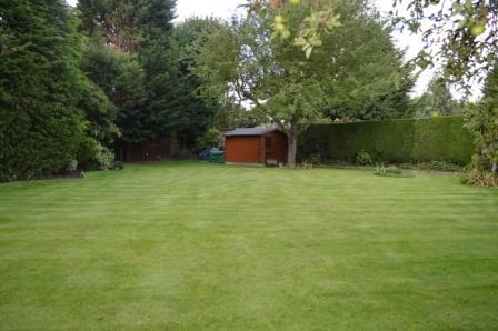 Manicured lawns