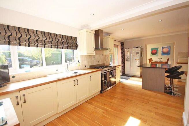 Kitchen view 4 