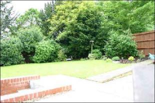 View from bungalow