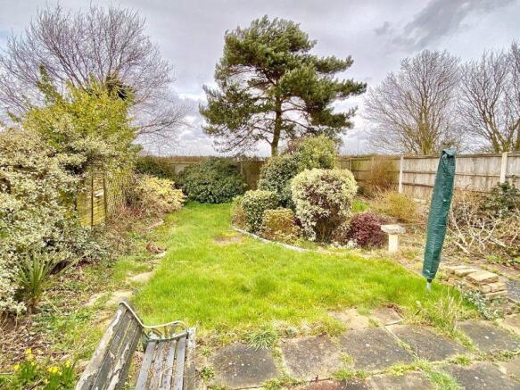 Garden (2)