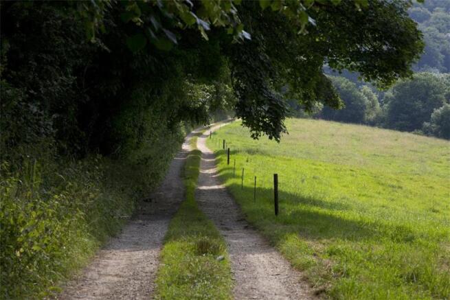 Rural Driveway