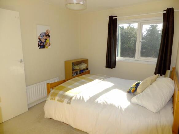 Picture 8