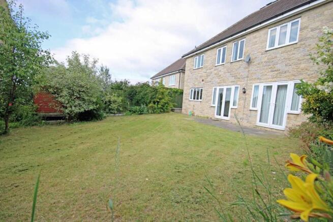 Back Garden