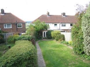 Rear Garden 2