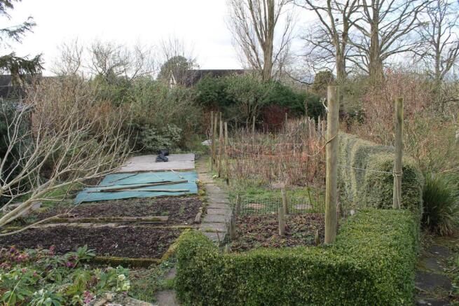 Garden 5.JPG