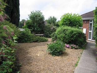 Front Garden 3