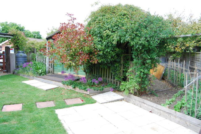 Photo 11