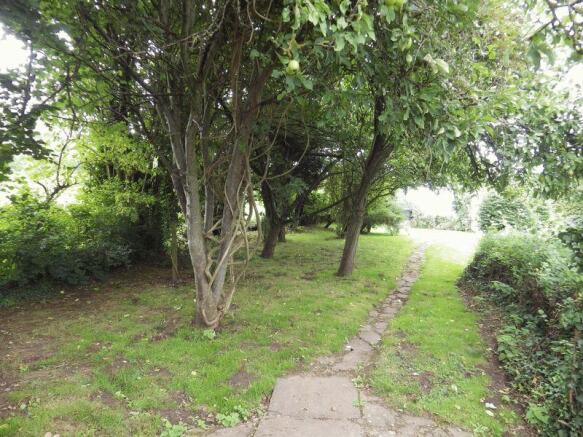Garden and fru...